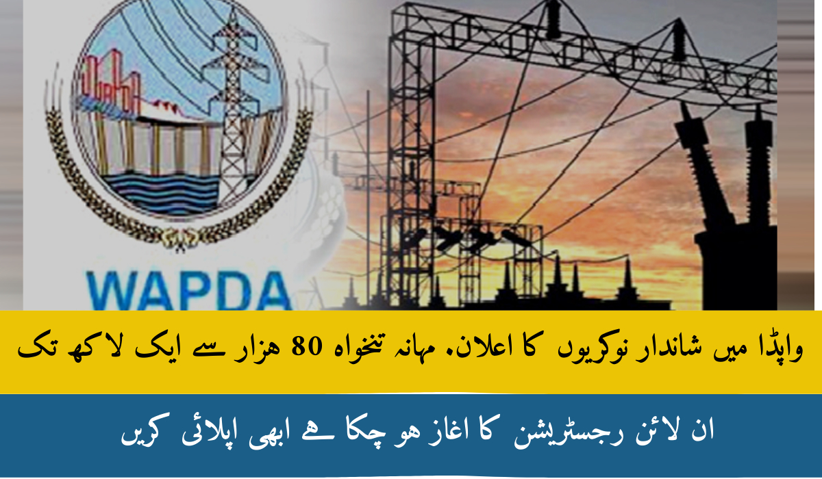 OTS WAPDA Jobs 2025 Apply Online & Last Date